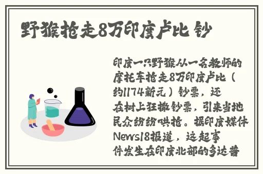 幸福宝APP在线官网入口IOS